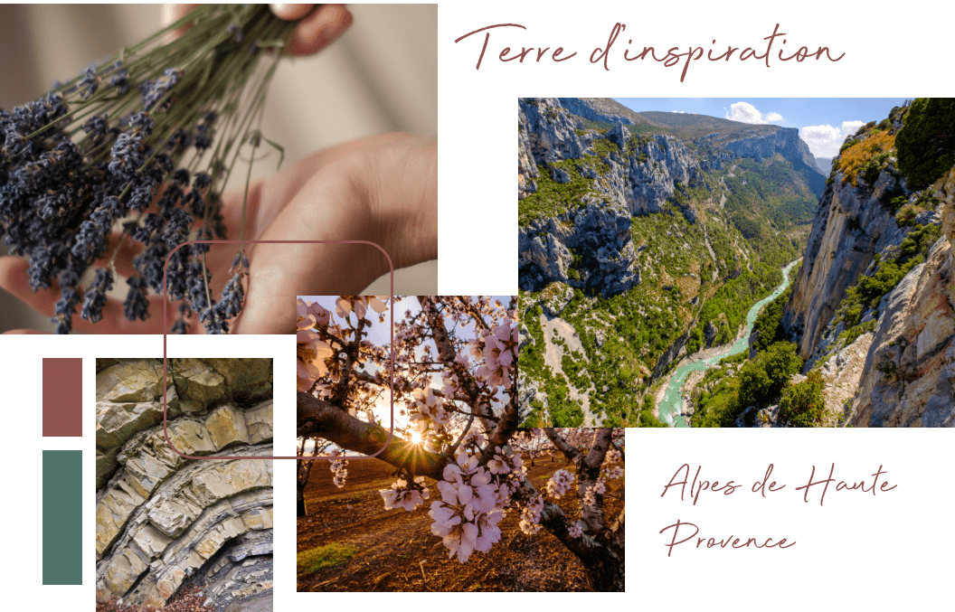 Nos sources d'inspiration